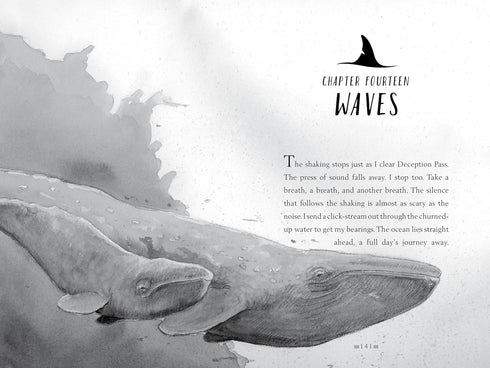 A WHALE OF THE WILD - PARRY. ROSANNE